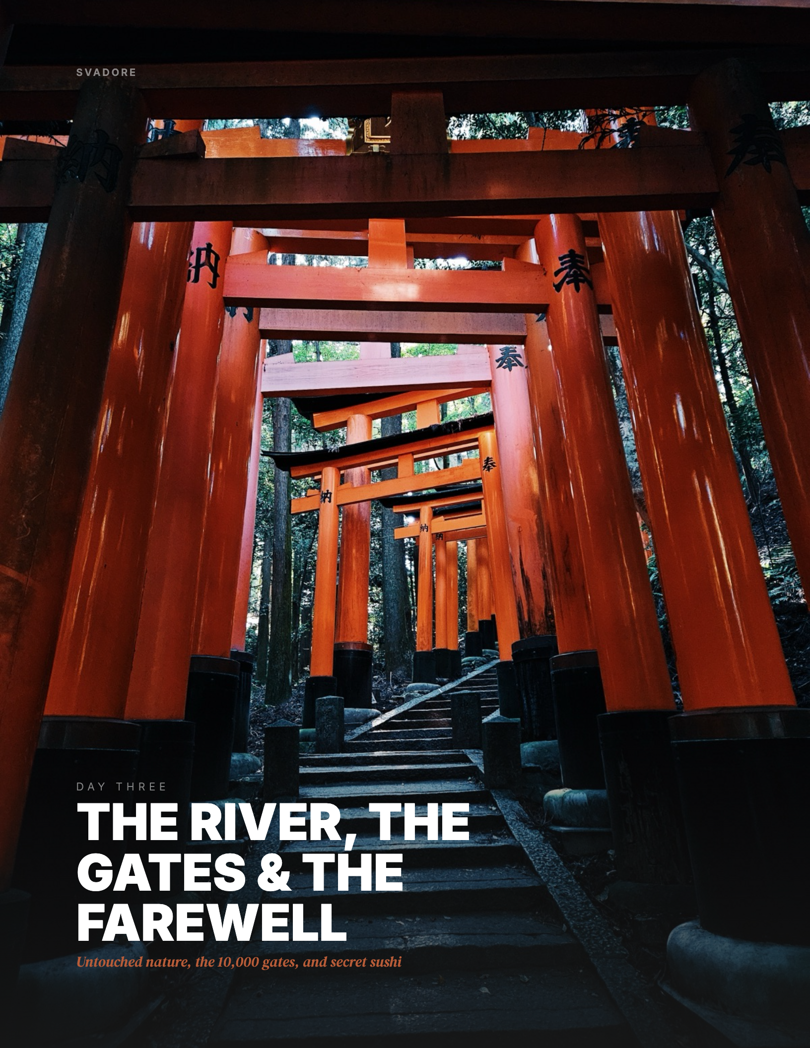 Kyoto in 3 Days: A First-Timer's Guide to Icons & Local Gems - Image 6