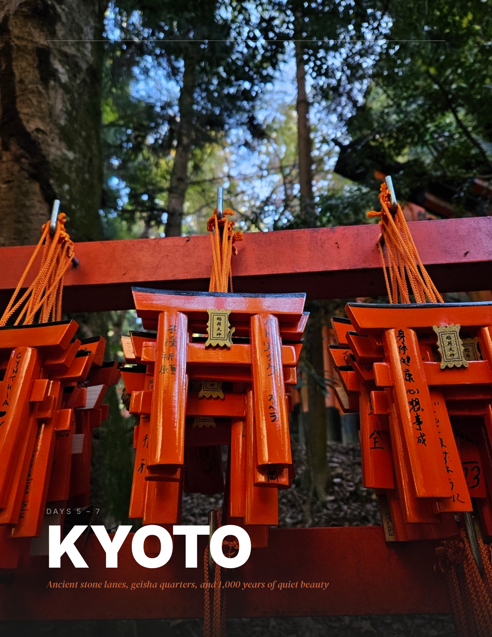 Japan in 7 Days: Tokyo & Kyoto, A Complete Travel Guide - Image 8