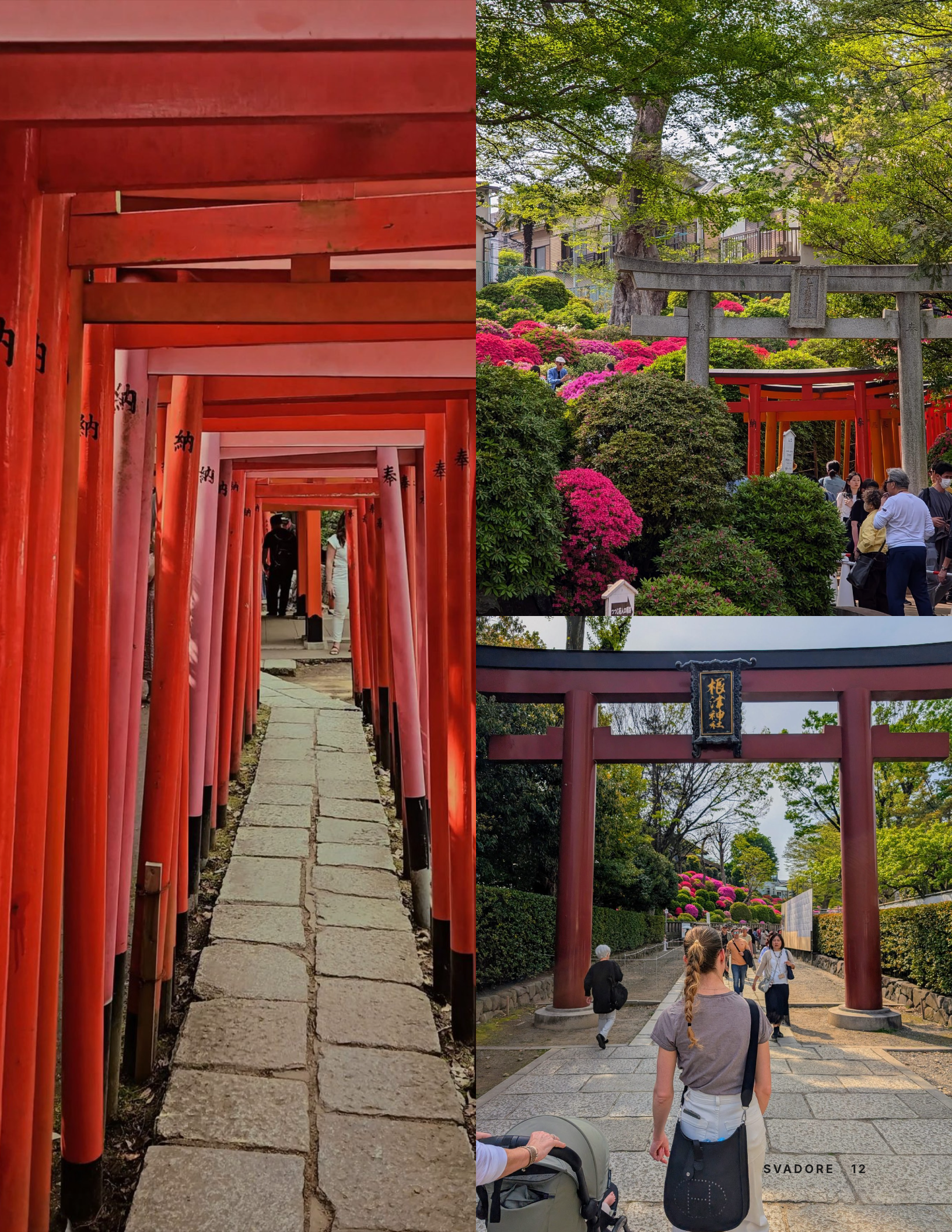 Tokyo Travel Guide: 4-Day Itinerary with Google Map, Restaurant Picks & Insider Tips - Image 7