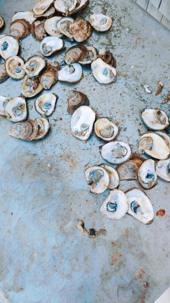 Connecticut Experience: Oyster Tour at Hummock Island westport ct things to do in fairfield county unique fun family private event island sunset boat sustainable oyster farming