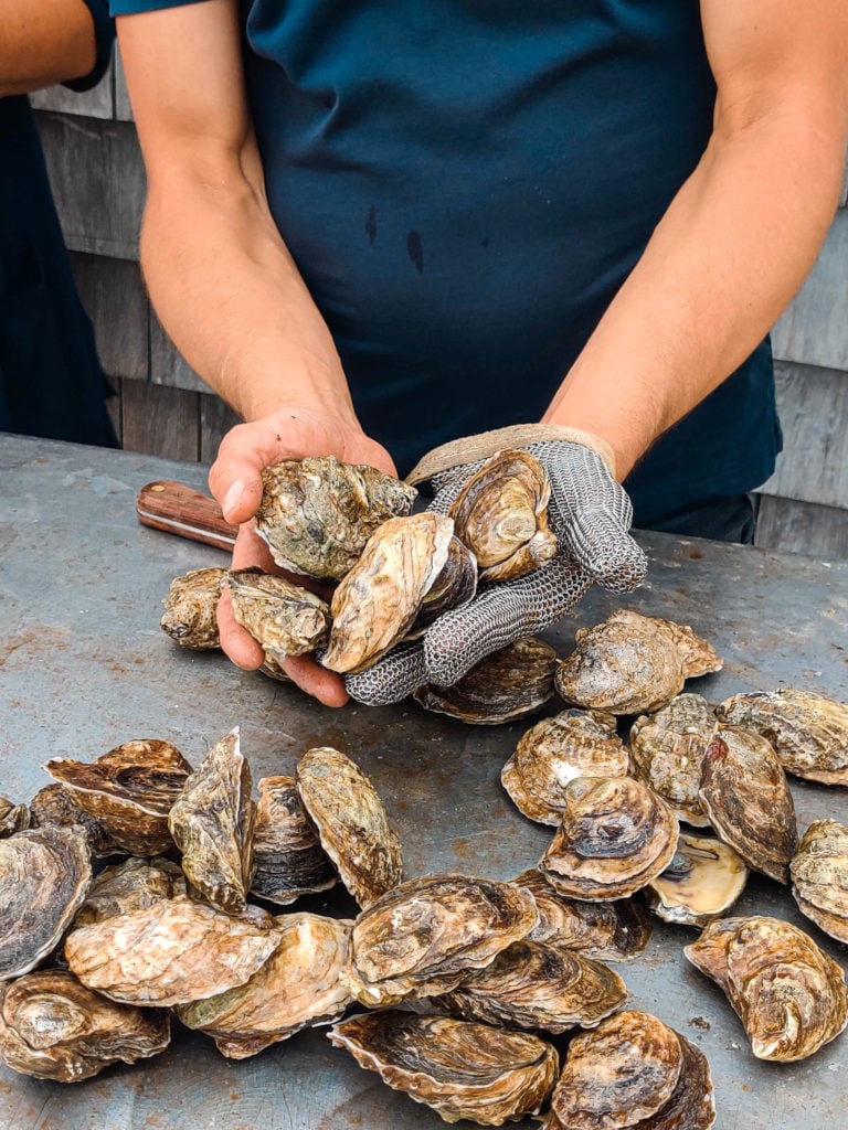 Connecticut Experience: Oyster Tour at Hummock Island westport ct things to do in fairfield county unique fun family private event island sunset boat sustainable oyster farming